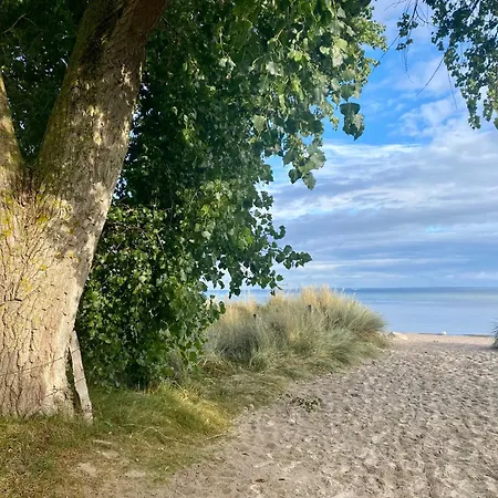 Suedstrand Haus 01 * بيلزيرهاكين